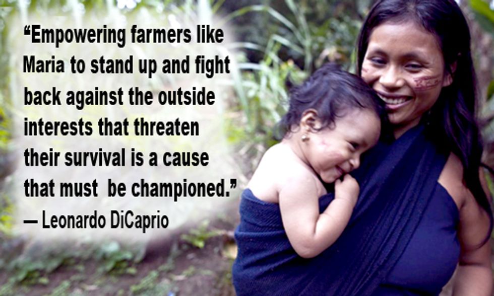 Leonardo DiCaprio Invests in Runa, Donates All His Shares to Ecuadorian Farmers