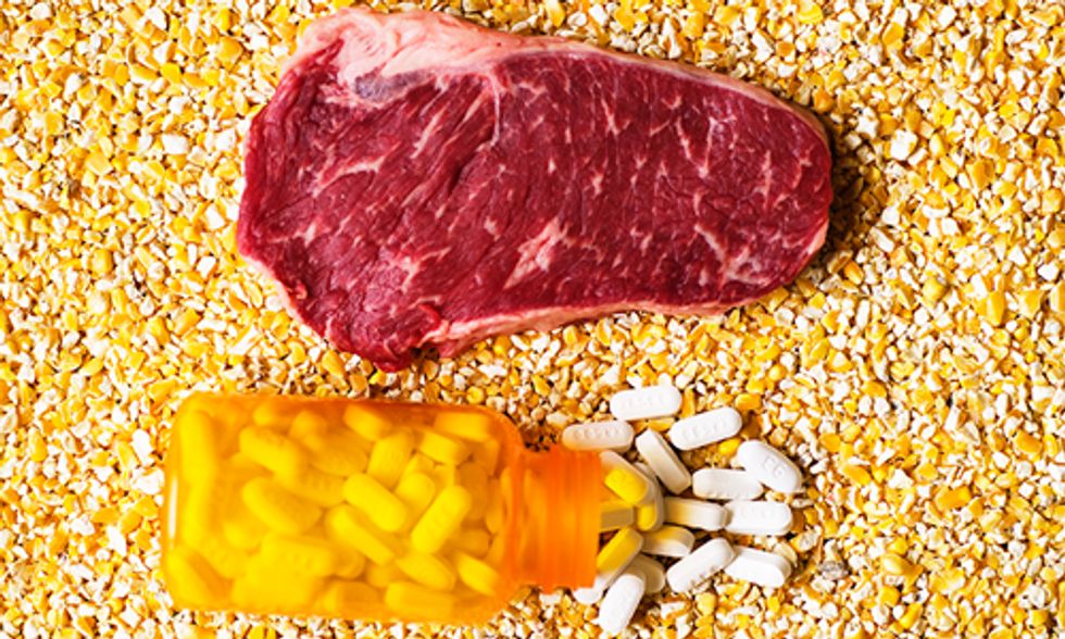 Should You Be Concerned About the Overuse of Antibiotics in Farm Animals?