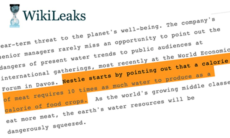 8 Takeaways From Nestle's Secret Report Warning the World Is Running Out of Water