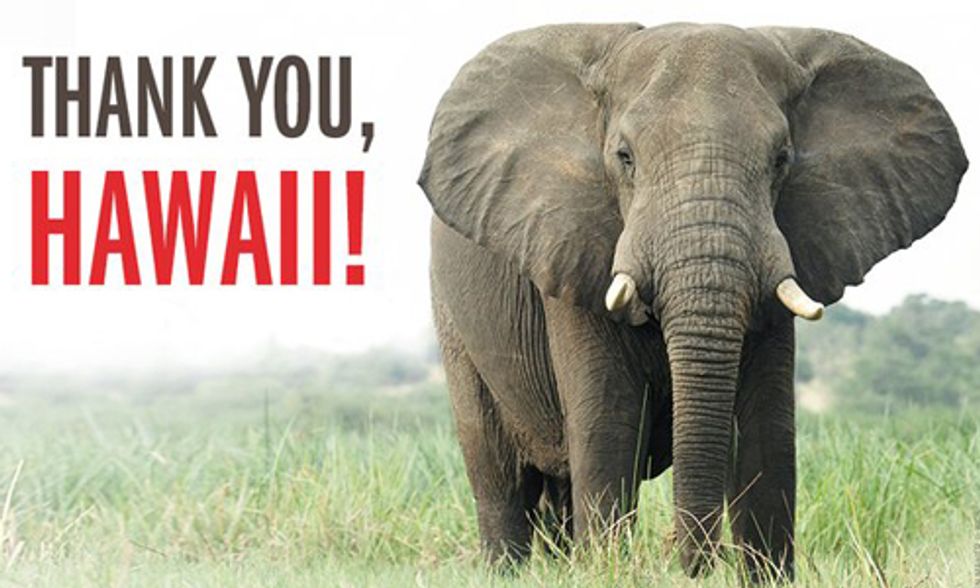 Historic Vote Ends Hawaii's Ivory Trade