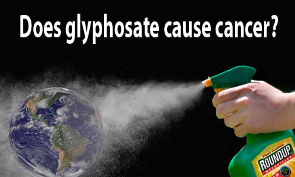 Does Glyphosate Cause Cancer?