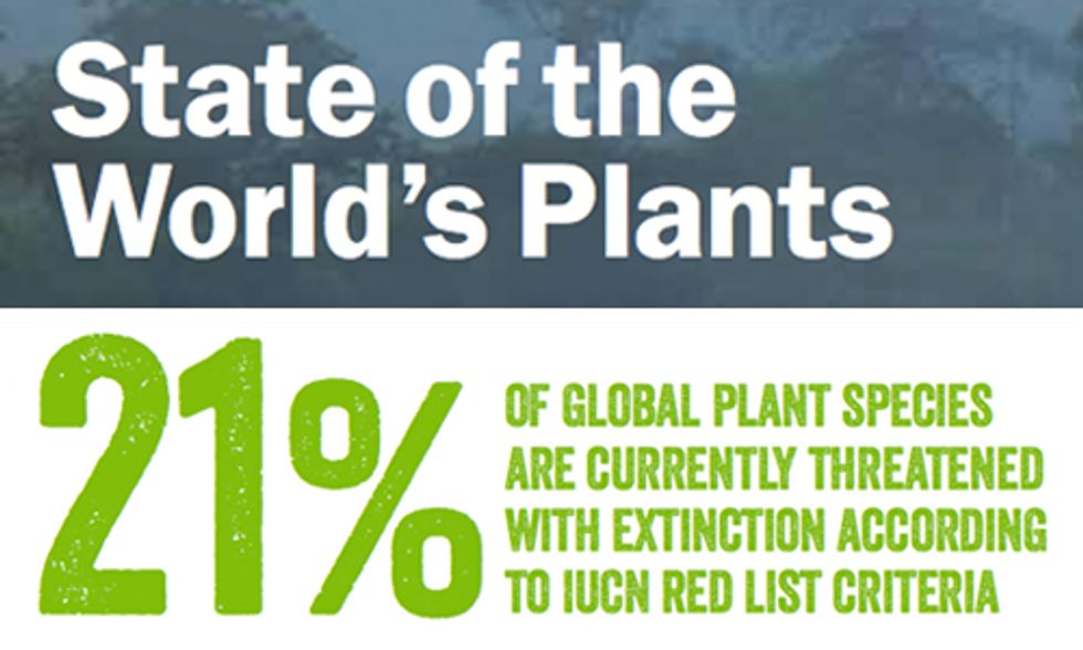 One in Five of World's Plant Species at Risk of Extinction