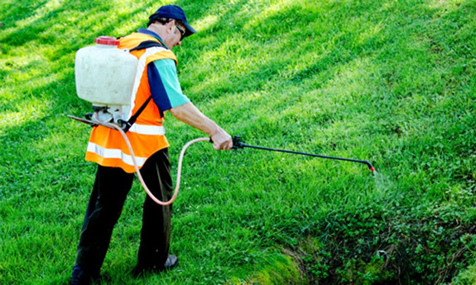 Is Roundup Sprayed at Your Local Park?
