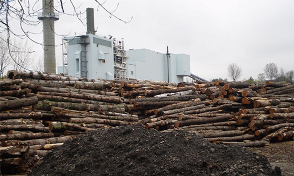 Is Biomass Energy Renewable?