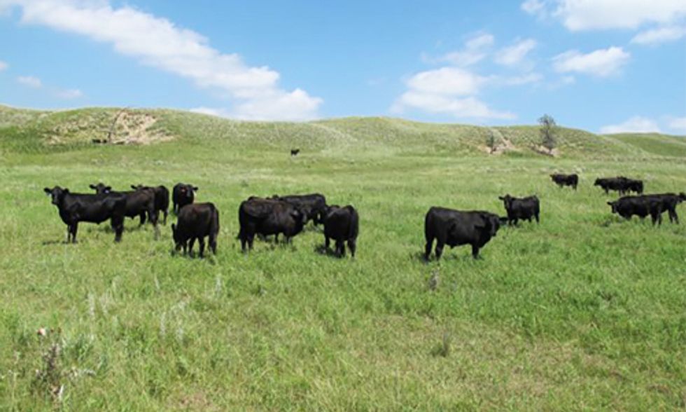 How Carbon Farming Can Reverse Climate Change