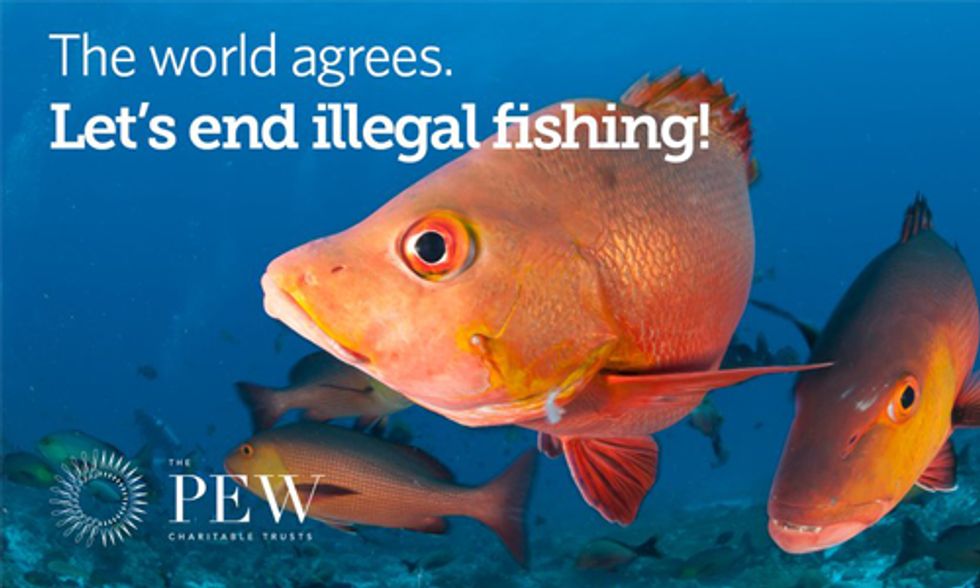 The World Agrees: Let's End Illegal Fishing