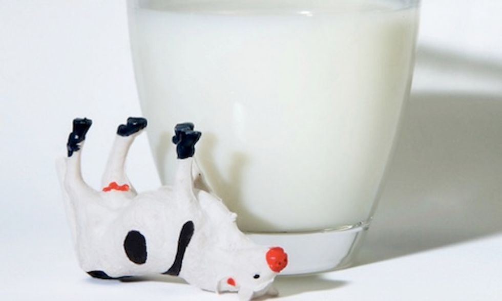 Milk Alternatives That Will Make You Want to Ditch Dairy