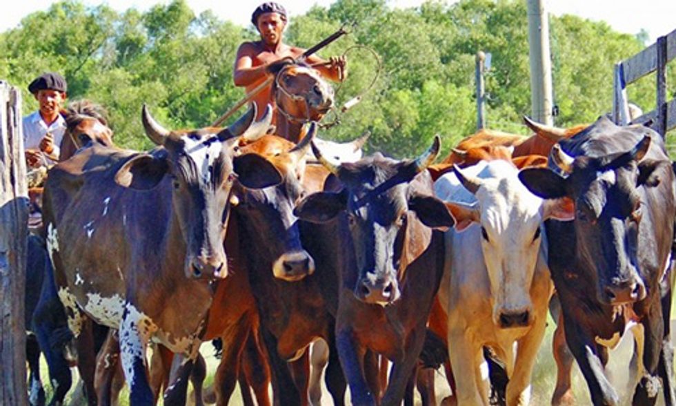 World Farmers Need to Do More to Stop Catastrophic Climate Change