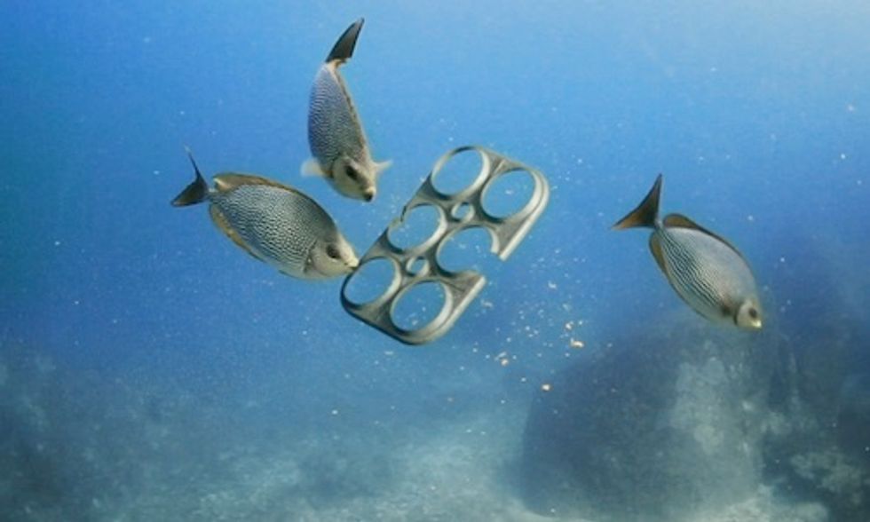 First Ever 100% Edible Six-Pack Ring Feeds Marine Animals Instead of Killing Them