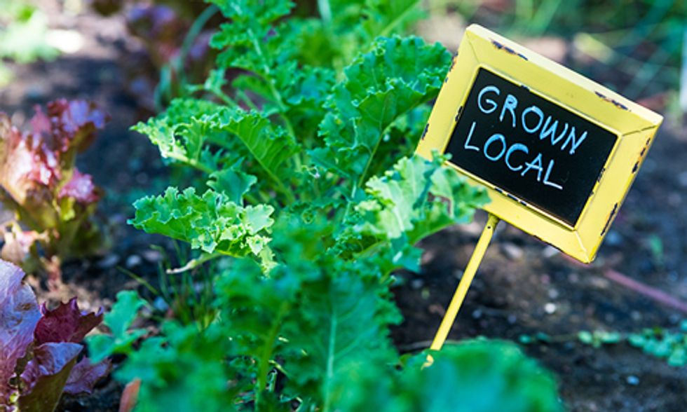 David Suzuki: How to Feed the World as the Planet Warms