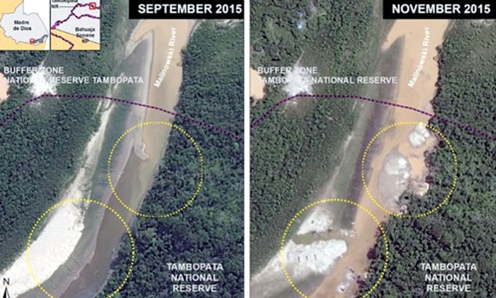 Peru Declares State of Emergency as Mercury Contamination From Illegal Gold Mining Poisons People and Planet