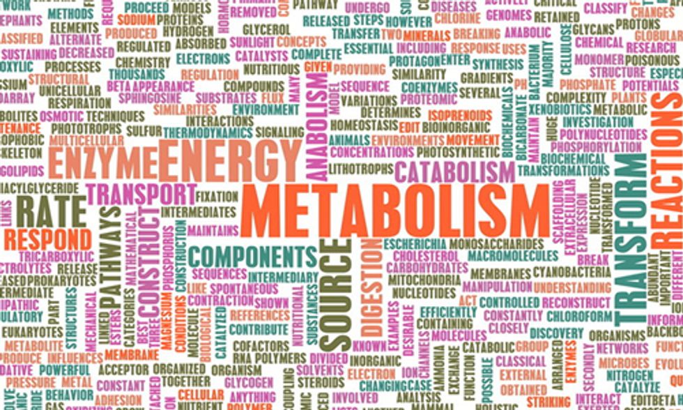 7 Ways to Increase Your Metabolism
