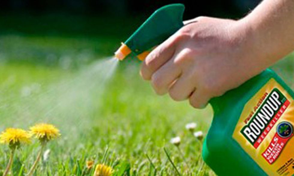 Glyphosate Found in Urine of 93 Percent of Americans Tested