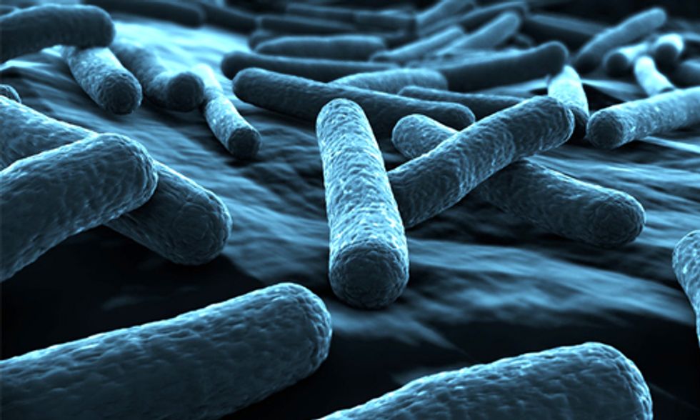 The Superbug Doctors Have Been Dreading Is Now in the U.S.