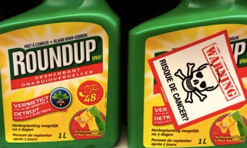 EU Commission Backs Down on Long-Term Glyphosate Approval, Seeks Last Minute Extension