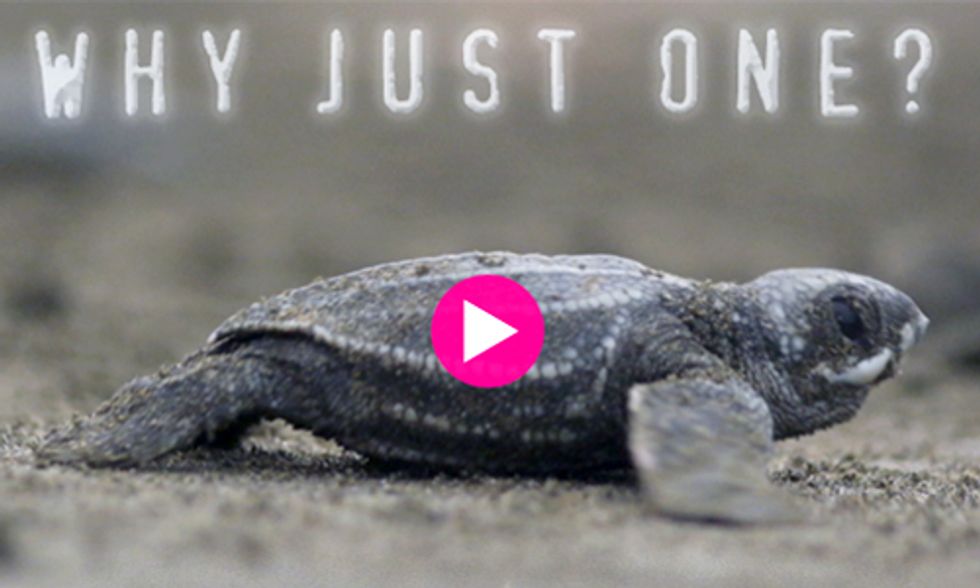 Help Save the World's Last Dinosaur