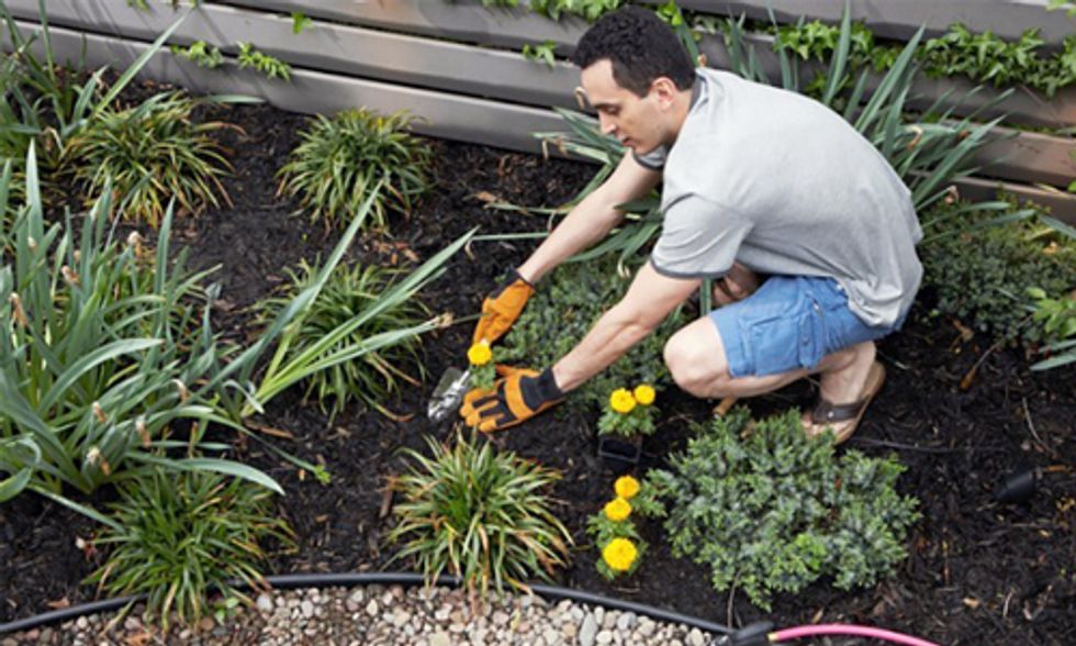 12 Ways To Get Rid Of Weeds Without Using Roundup Ecowatch Get Rid Of Weeds Without Using Roundup, How To Get Rid Of Ground Cover And Plant Grass