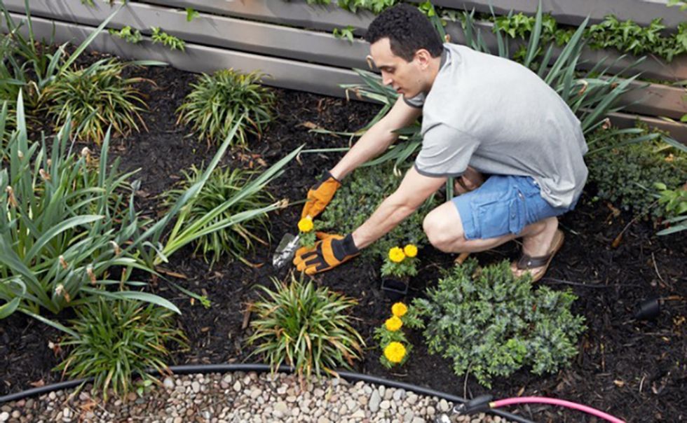 12 Ways To Get Rid Of Weeds Without Using Roundup Ecowatch - Using Roundup In Vegetable Garden 12 Ways To Get Rid Of Weeds Without Using Roundup Ecowatch - Using Roundup In Vegetable Garden