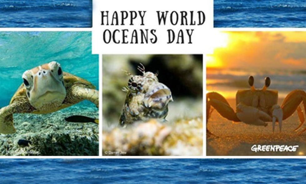 World Oceans Day: Healthy Oceans = Healthy Planet