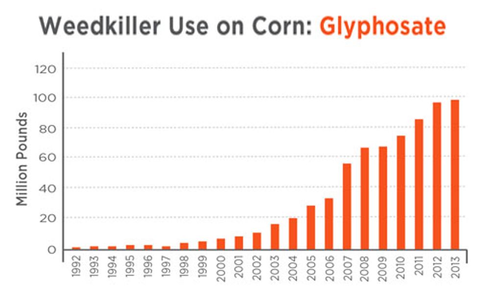 Atrazine and Glyphosate More Harmful Than Scientists Once Thought