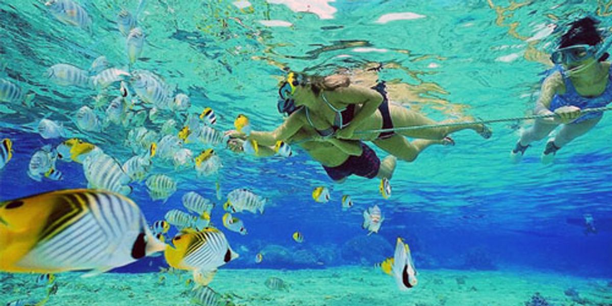 11 Best Snorkeling Spots in America - EcoWatch