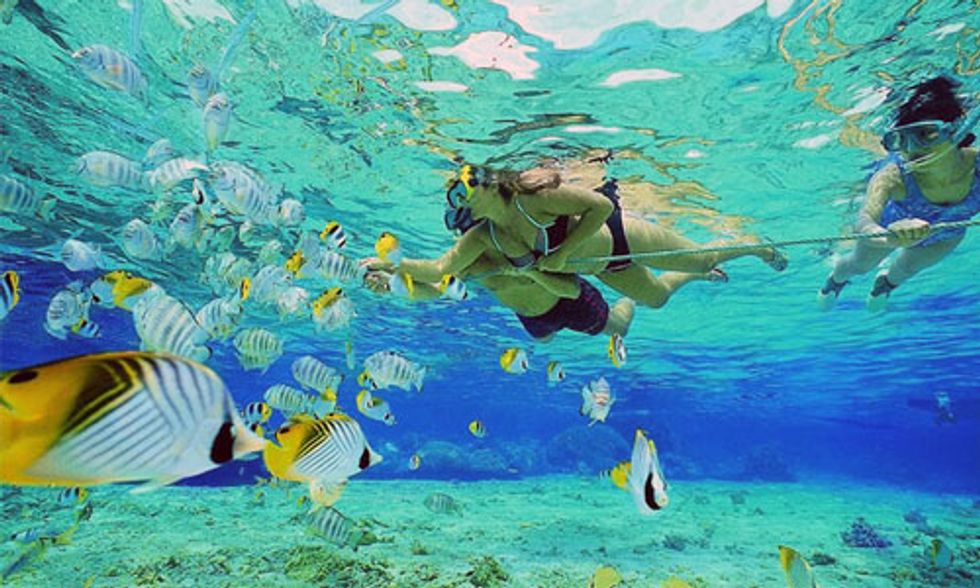 11 Best Snorkeling Spots in America