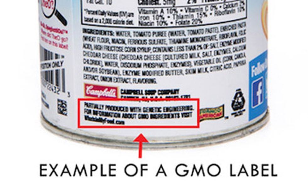 In 17 Days Vermont's Historic GMO Labeling Law Goes Into Effect: Is Big Food Ready?