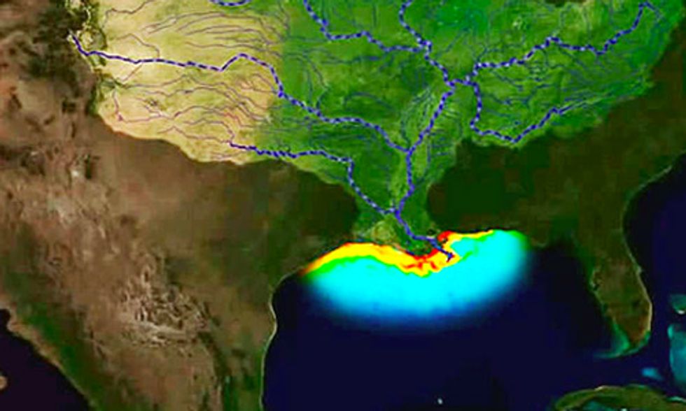 There’s Nothing Average About This Year’s Gulf of Mexico 'Dead Zone'