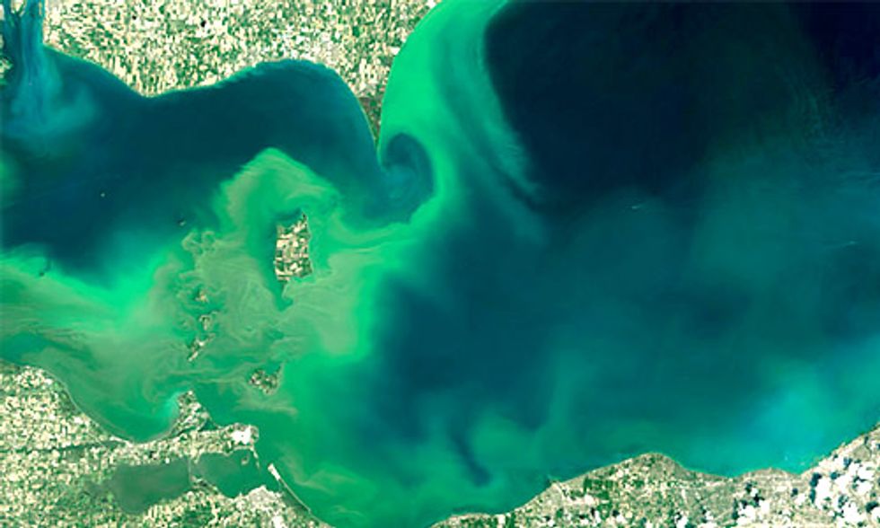 Lake Erie’s Toxic Algae Bloom Forecast for Summer 2016