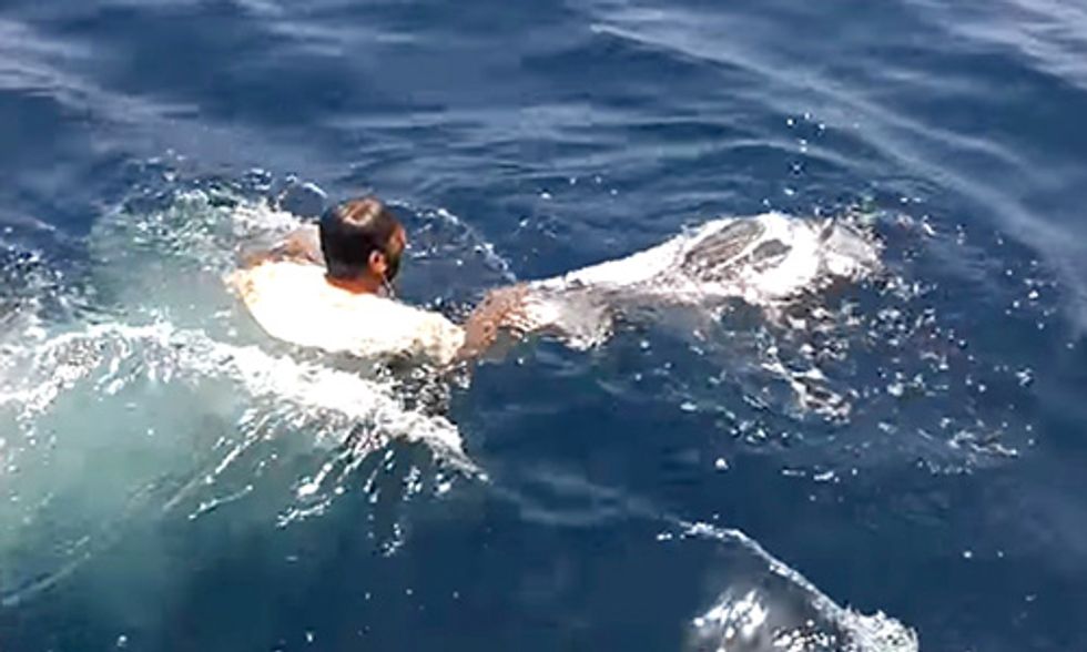 Viral Video: Fisherman Saves Turtle Entangled in Plastic Bag