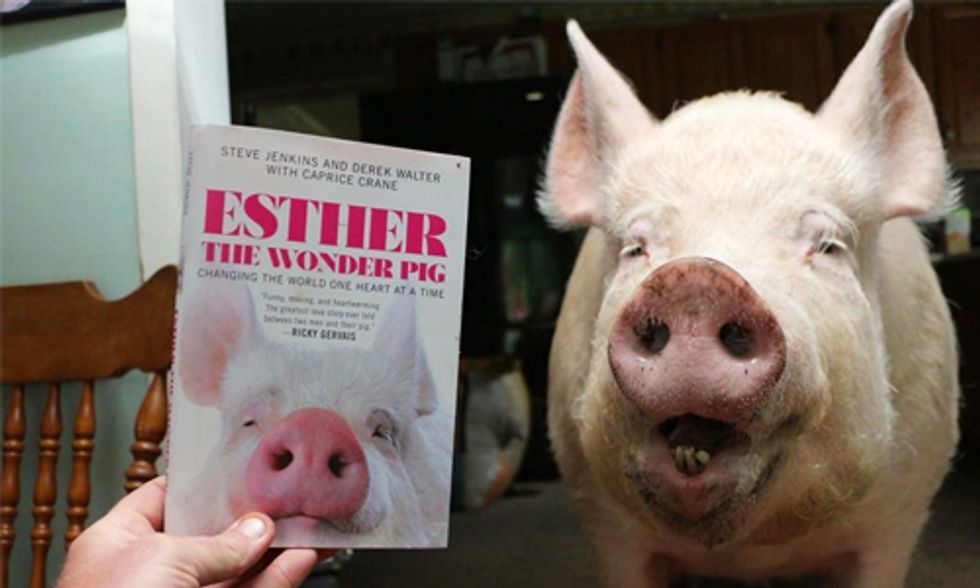 Esther the Wonder Pig: Changing the World One Heart at a Time