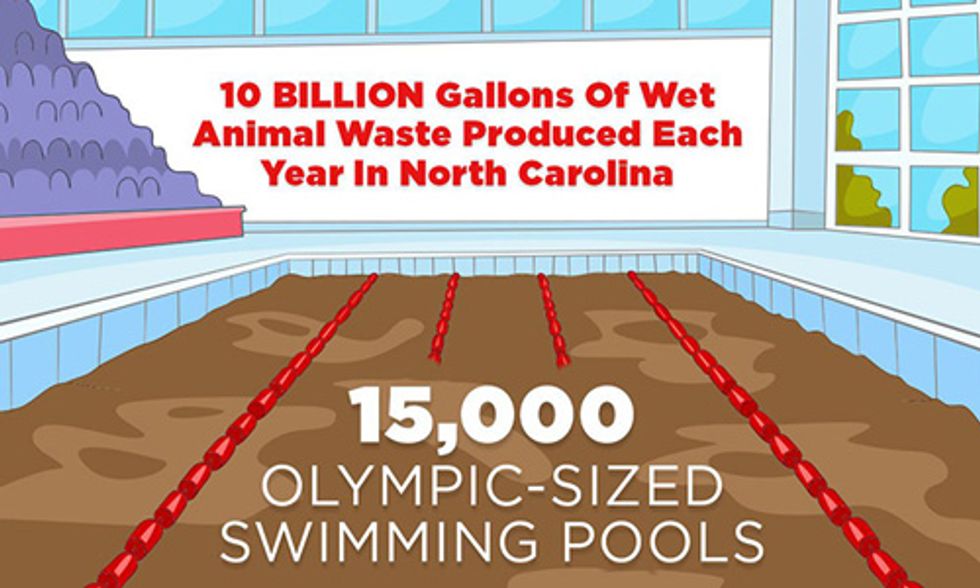 Interactive Map Shows How 6,500 Factory Farms Put North Carolinians at Risk