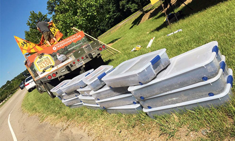 2.6 Million Dead Bees Delivered to EPA Headquarters