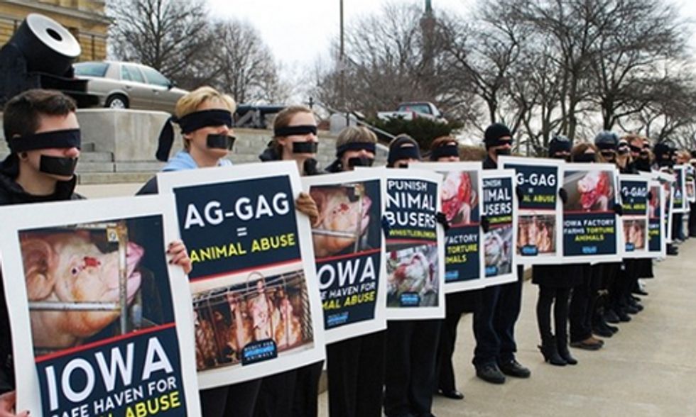 Appeals Court Urged to Strike Down Idaho's Ag-Gag Law