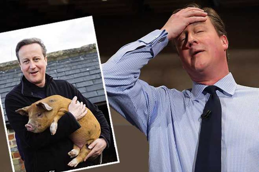 David Cameron Brings New Meaning To The Term ‘Porking’