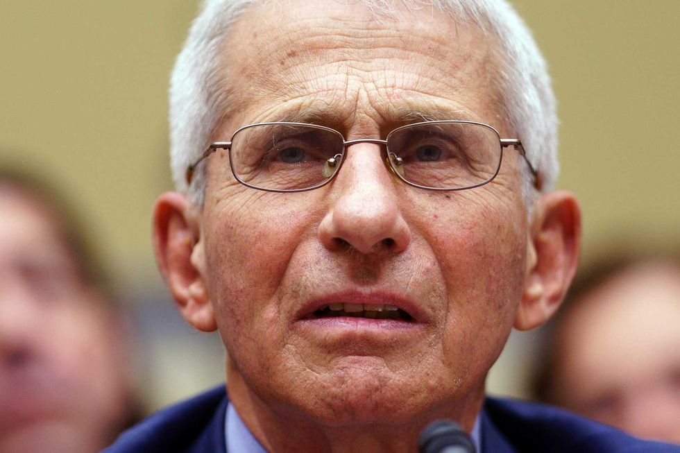 Nei guai l’uomo di Fauci: celati dati sul Covid