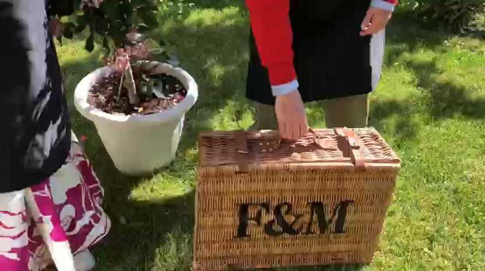 Pillole di galateo | Come allestire un pic-nic