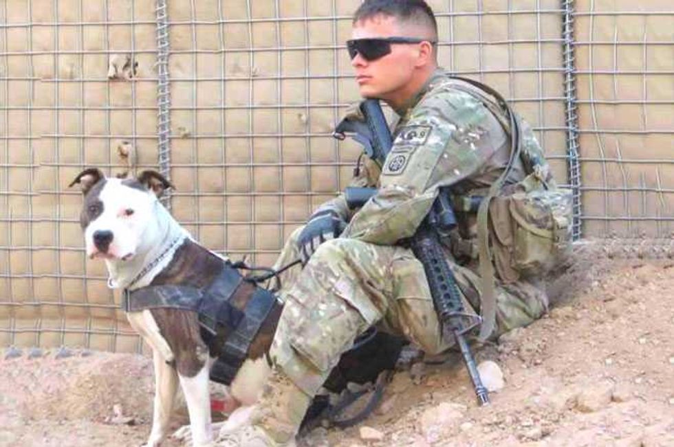 Bring Howard Home: Soldier Fights To Regain Custody Of Dog Who Saved His Life