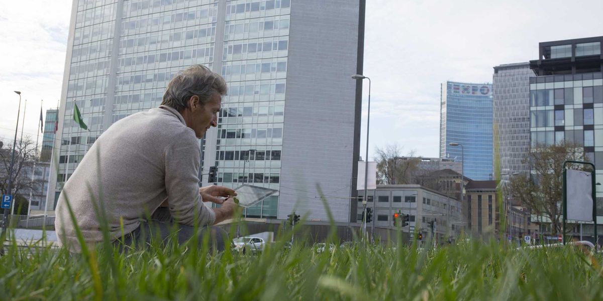 la milano green trascura il verde sfalci ridotti e parchi come giungle da Laverita.info la milano green trascura il verde sfalci ridotti e parchi come giungle