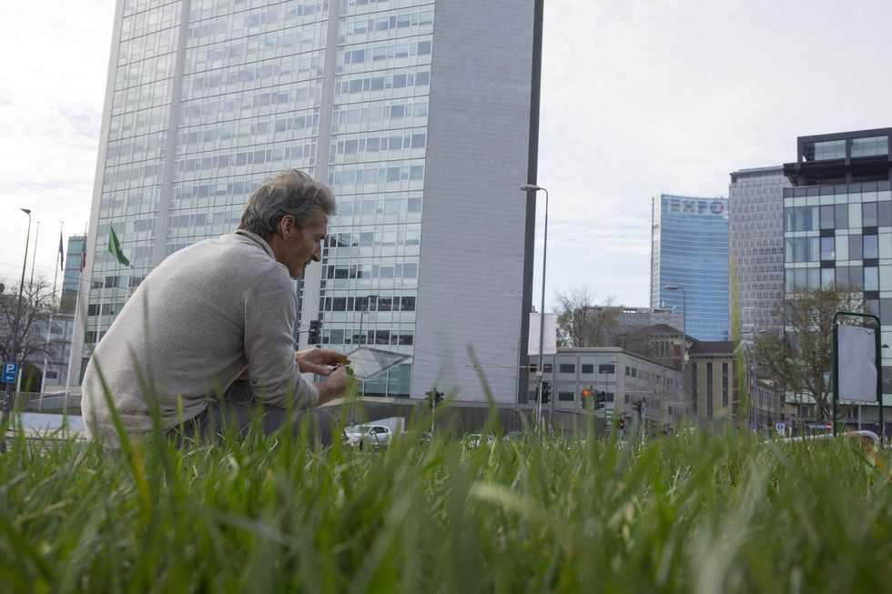 La Milano «green» trascura il verde. Sfalci ridotti e parchi come giungle