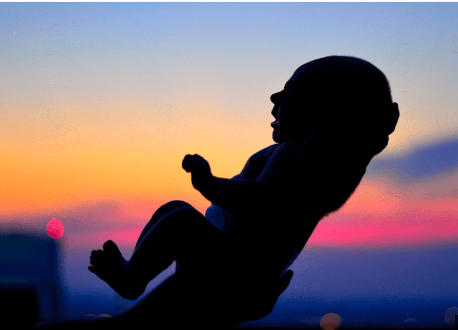 Why Are Population Alarmists So Troubled By Our Stabilizing Birth Rate?