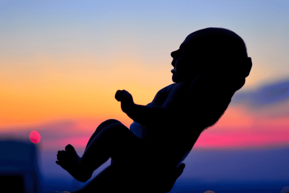 Why Are Population Alarmists So Troubled By Our Stabilizing Birth Rate?
