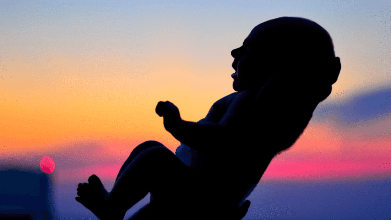 Why Are Population Alarmists So Troubled By Our Stabilizing Birth Rate?