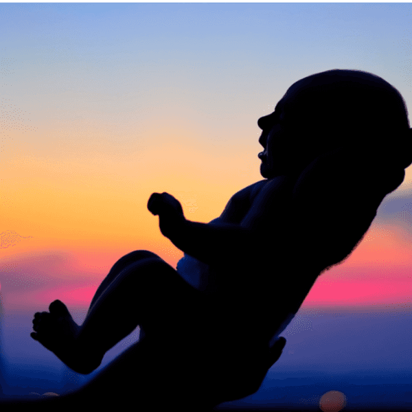 Why Are Population Alarmists So Troubled By Our Stabilizing Birth Rate?