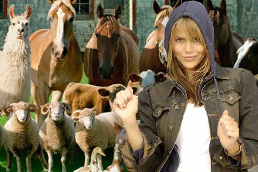 Adventures In Dating—Spotlight On Animal Lovers
