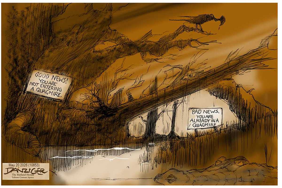 Danziger Draws