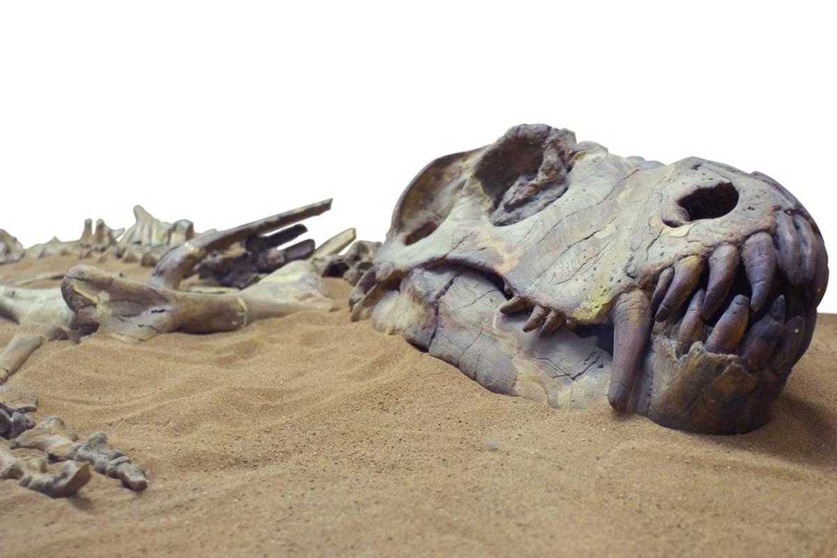 Dinosauri all'asta. La corsa dei miliardari al business dei fossili