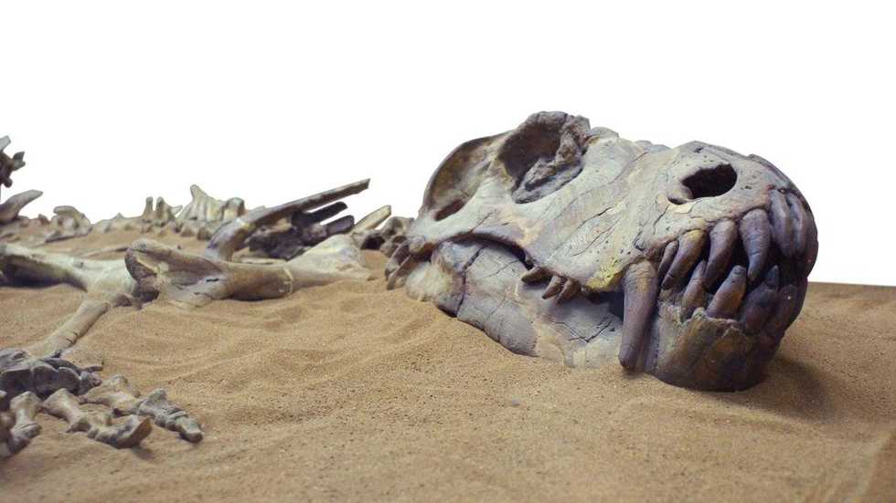 Dinosauri all'asta. La corsa dei miliardari al business dei fossili