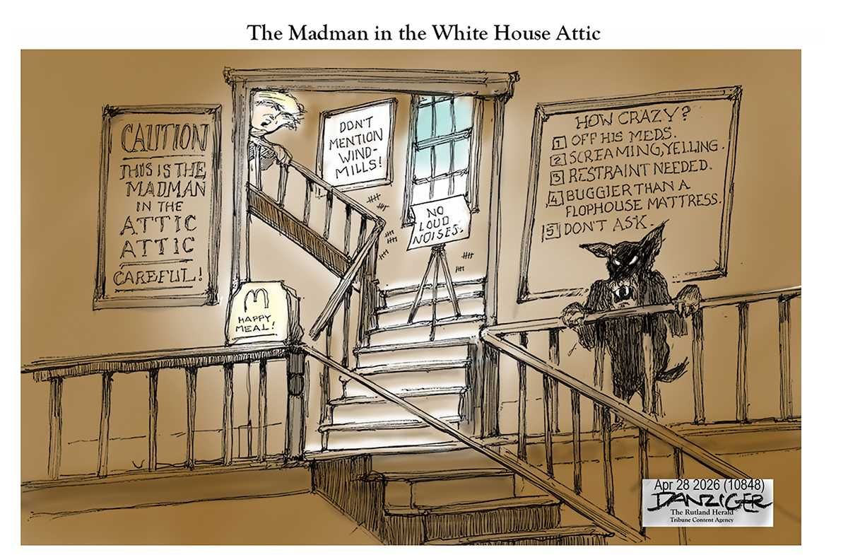 Danziger Draws