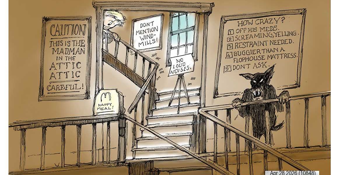 Danziger Draws